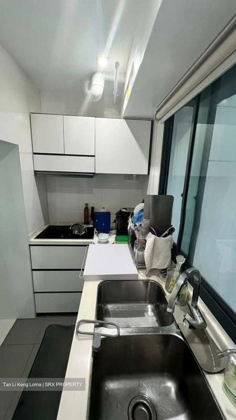 Blk 1A The Pinnacle@Duxton (Bukit Merah), HDB 4 Rooms #538107941